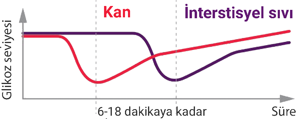 BGM ve CGM arasındaki farklar nelerdir?